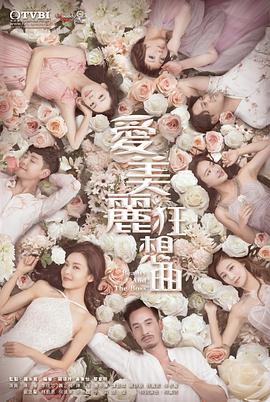 爱美丽狂想曲粤语第19集