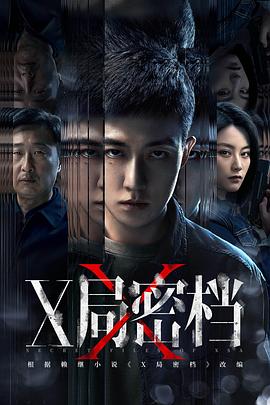 X局密档第12集