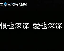 恨也深深爱也深深第01集
