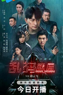 乱码迷局第13集