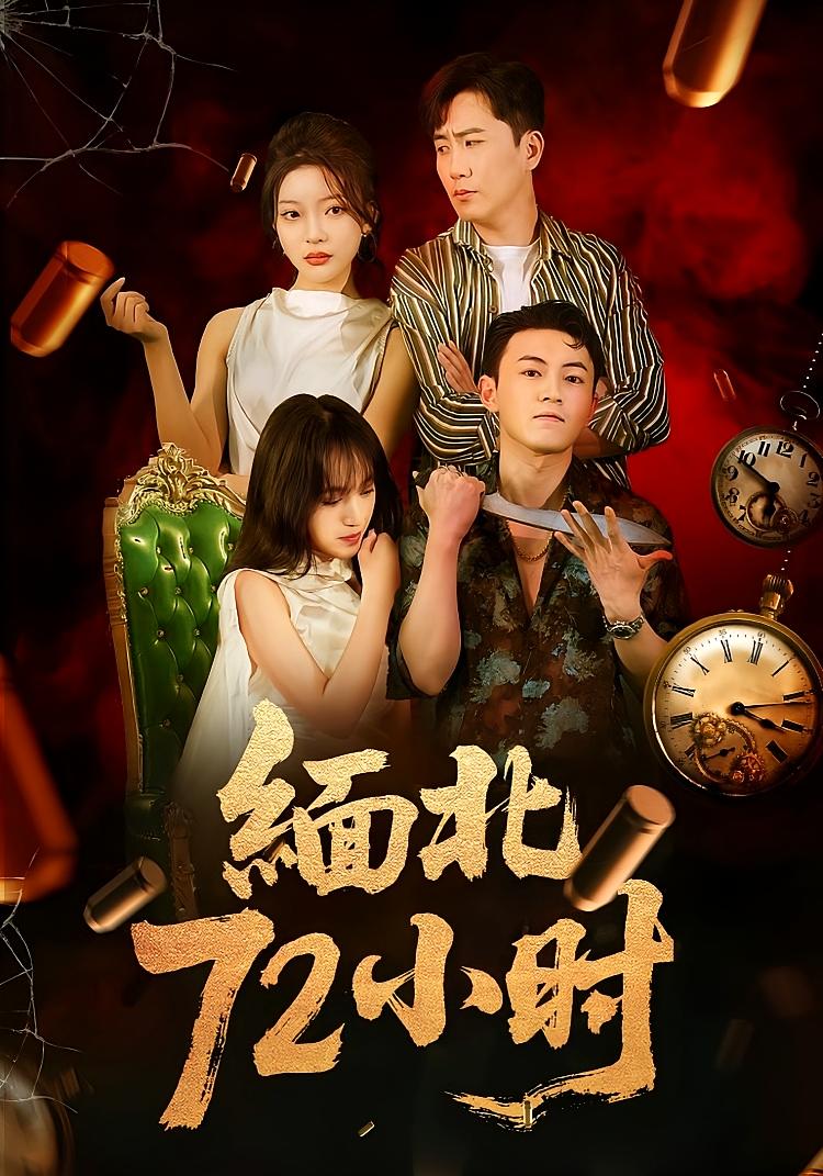 缅北72小时第17集