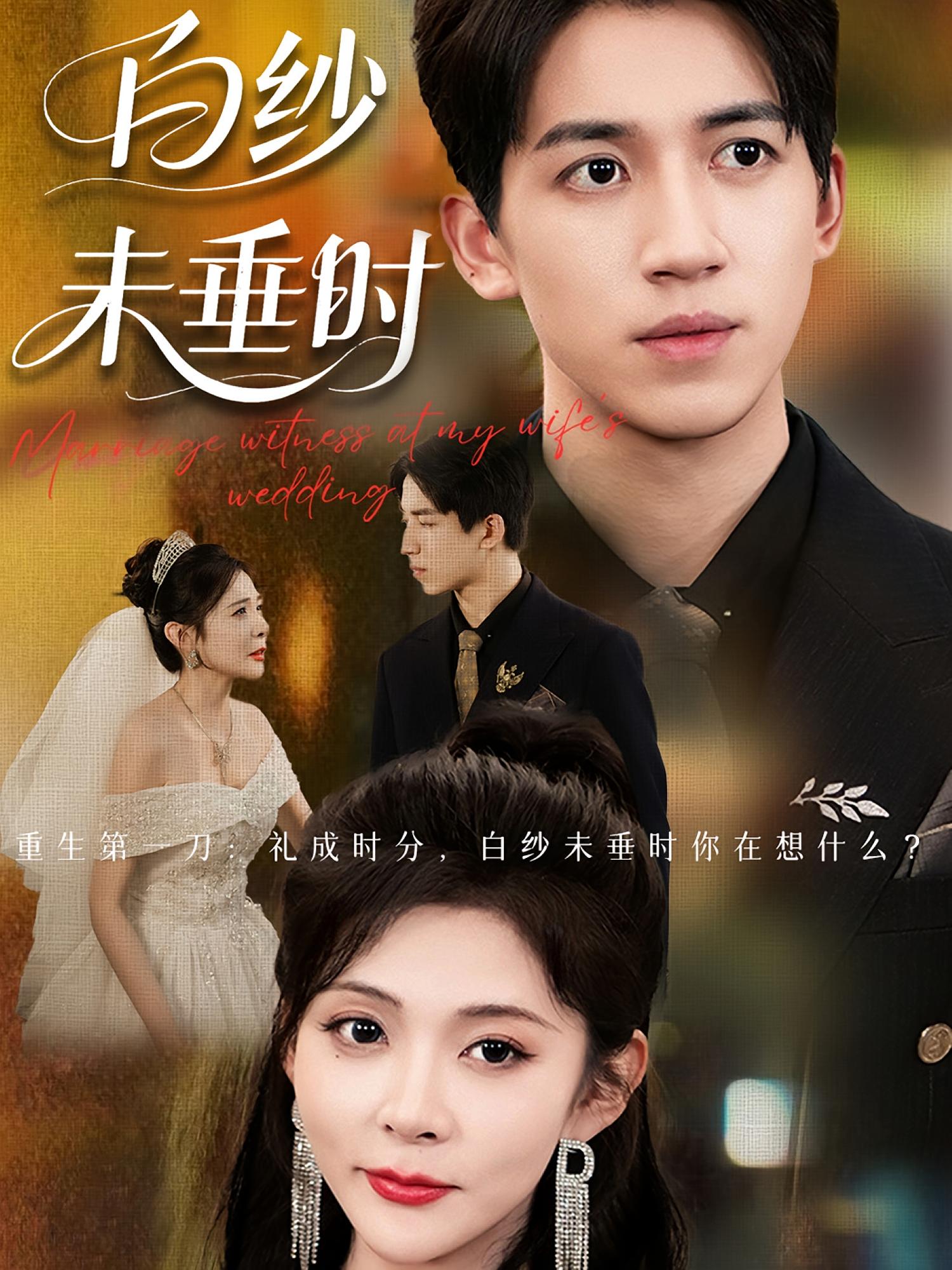 老婆婚礼我当证婚人，白纱未垂时第19集