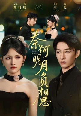 奈何明月负相思第21集