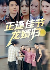 正逢佳节龙婿归第11集