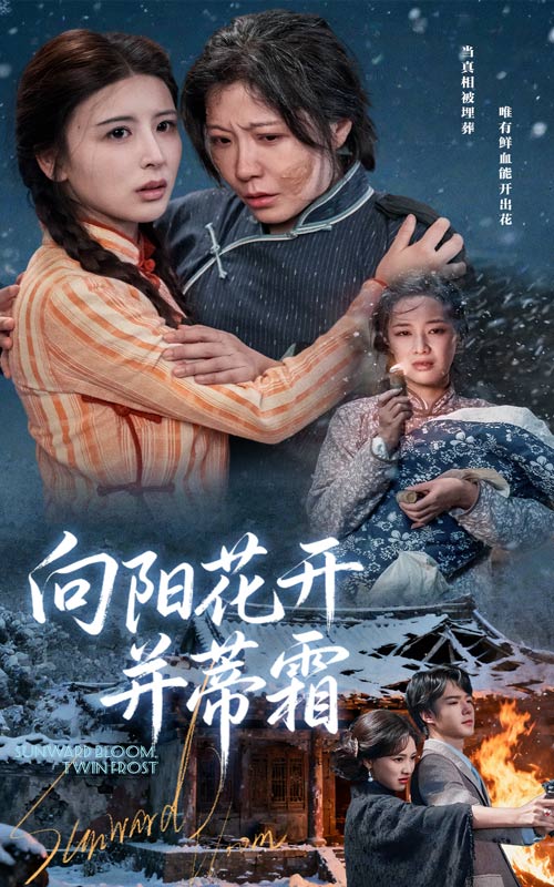 向阳花开并蒂霜第01集