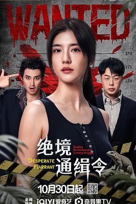绝境通缉令第19集