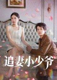 追妻小少爷第12集