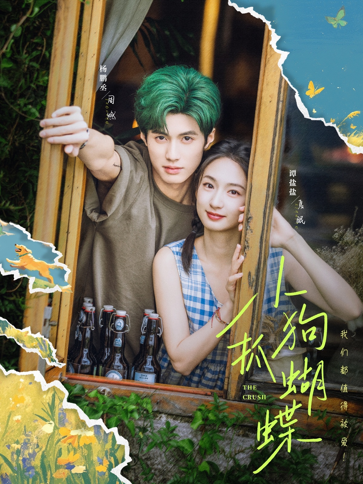 小狗抓蝴蝶第40集