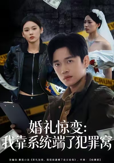 婚礼惊变：我靠系统端了犯罪窝第29集