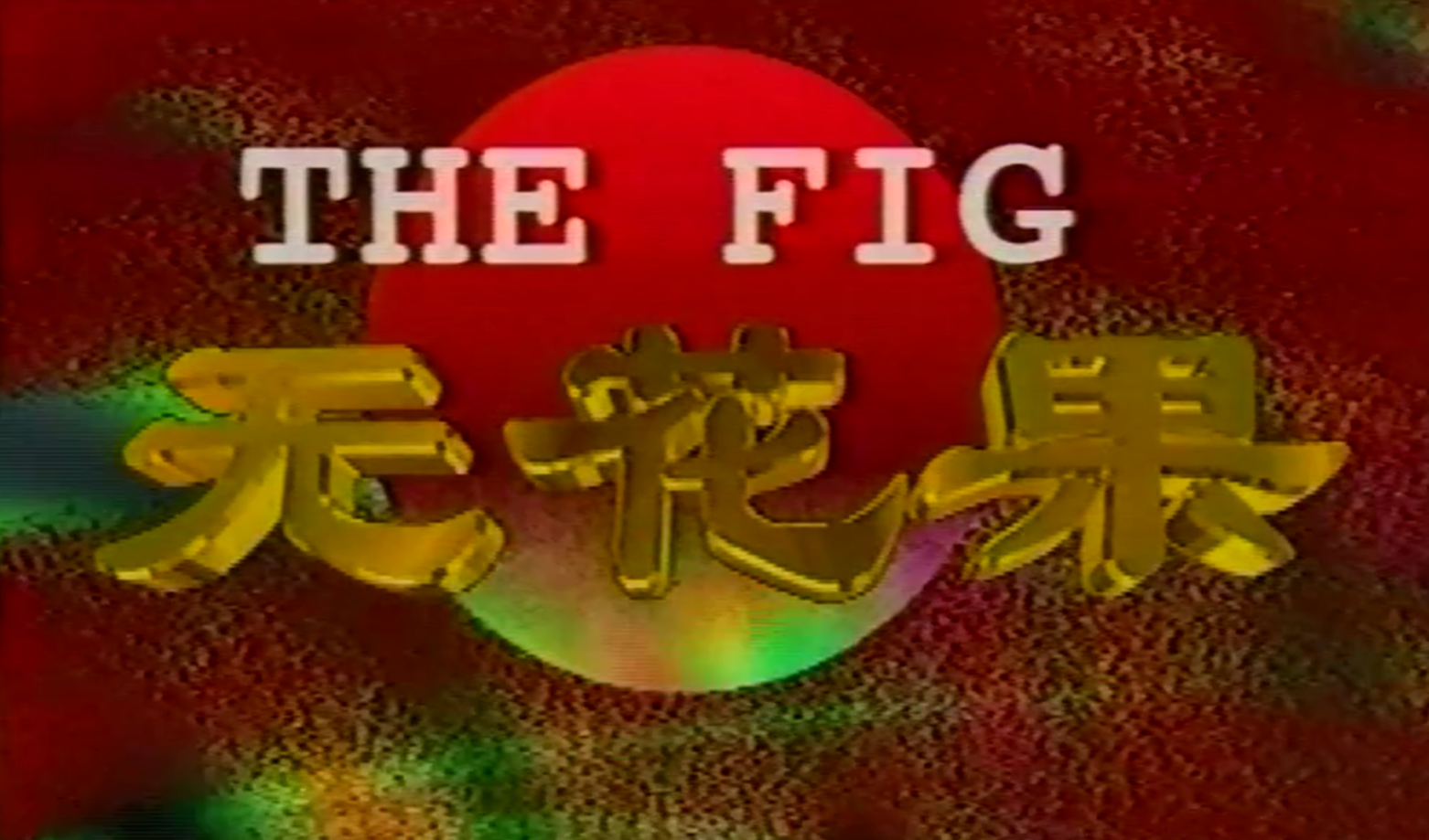 无花果1996第01集