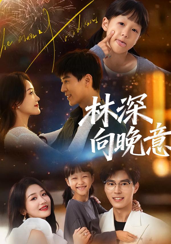 林深向晚意第29集
