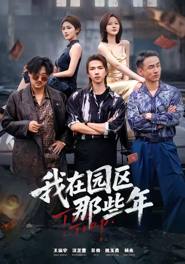我在园区那些年HD(大结局)